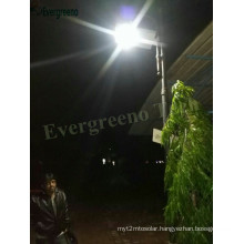 Good Quality LiFePO4 Battery Solar LED Street Light